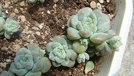 DSC07404.JPG DSC07404.JPG