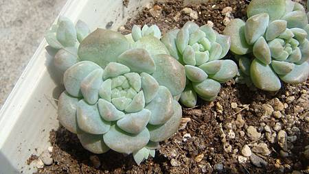 DSC07406.JPG DSC07406.JPG