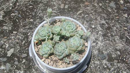 DSC08027.JPG DSC08027.JPG