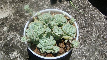 DSC08581.JPG DSC08581.JPG