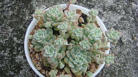 DSC09212.JPG DSC09212.JPG