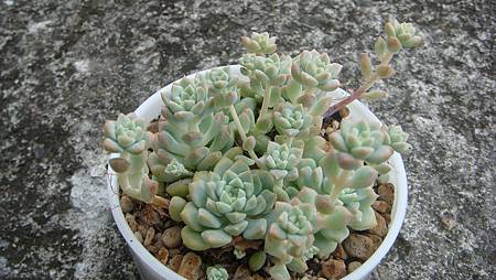 DSC09213.JPG DSC09213.JPG