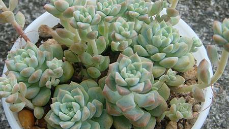 DSC09216.JPG DSC09216.JPG