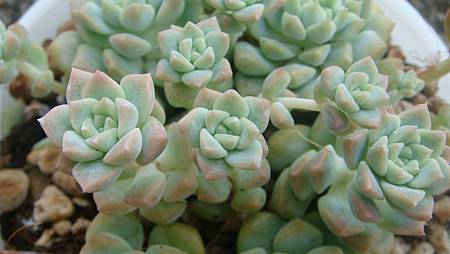 DSC09217.JPG DSC09217.JPG