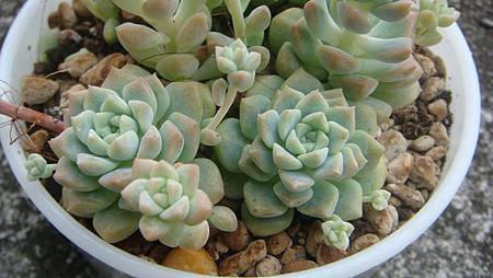 DSC09219.JPG DSC09219.JPG