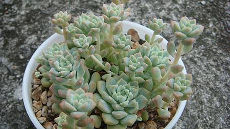 DSC09222.JPG DSC09222.JPG