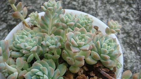 DSC09223.JPG DSC09223.JPG