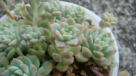 DSC09224.JPG DSC09224.JPG