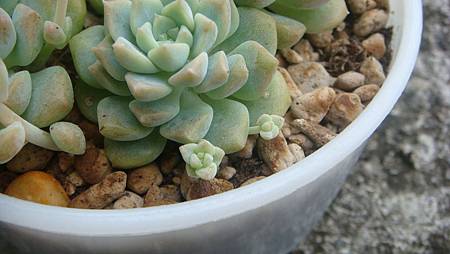 DSC09226.JPG DSC09226.JPG