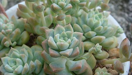 DSC09227.JPG DSC09227.JPG