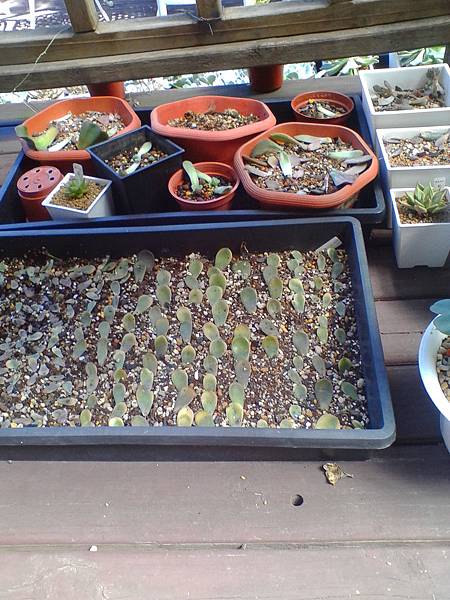 IMG_20160916_101535.jpg IMG_20160916_101535.jpg