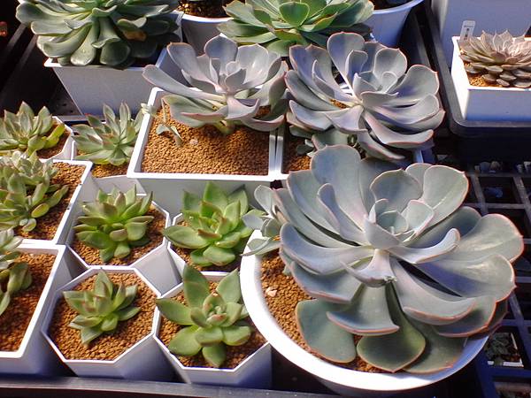 IMG_20160916_101618.jpg IMG_20160916_101618.jpg