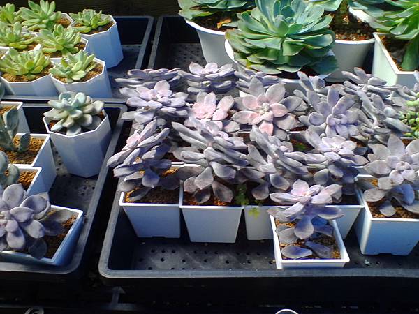 IMG_20160916_101627.jpg IMG_20160916_101627.jpg