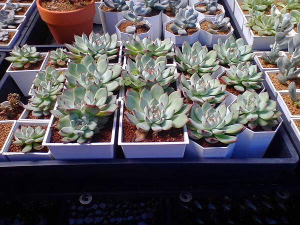 IMG_20160916_101637.jpg IMG_20160916_101637.jpg