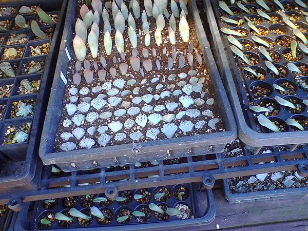 IMG_20160916_101650.jpg IMG_20160916_101650.jpg