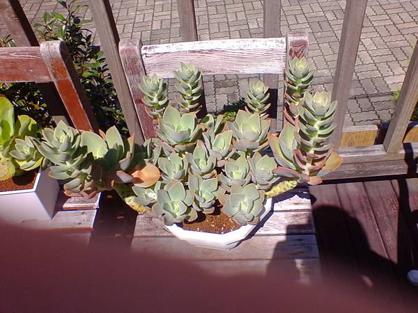 IMG_20160916_101709.jpg IMG_20160916_101709.jpg