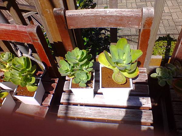 IMG_20160916_101712.jpg IMG_20160916_101712.jpg