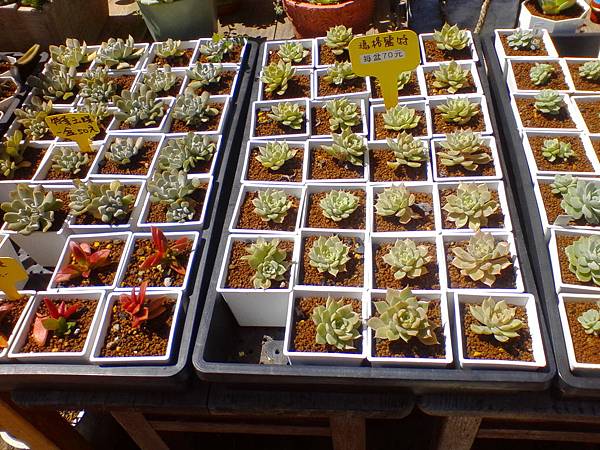 IMG_20160916_101749.jpg IMG_20160916_101749.jpg