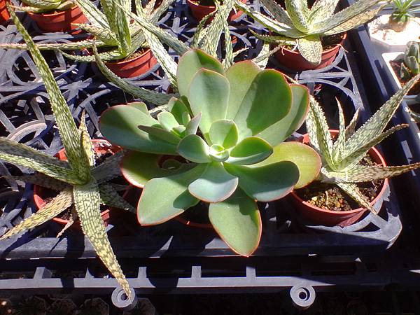 IMG_20160916_101842.jpg IMG_20160916_101842.jpg