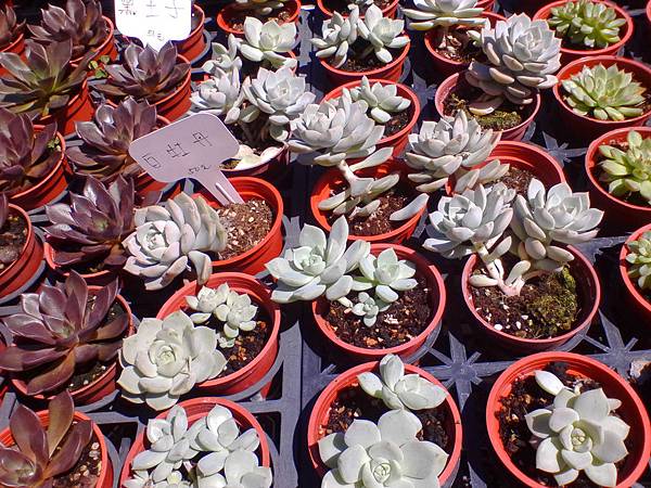 IMG_20160916_102616.jpg IMG_20160916_102616.jpg