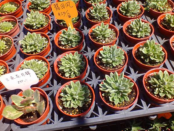 IMG_20160916_102639.jpg IMG_20160916_102639.jpg