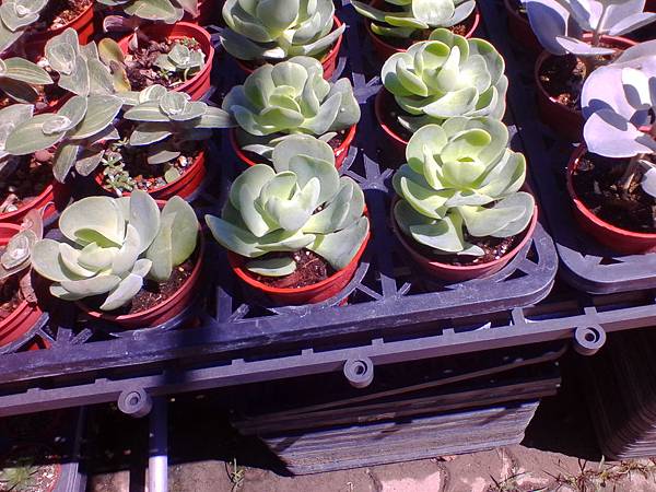 IMG_20160916_102645.jpg IMG_20160916_102645.jpg