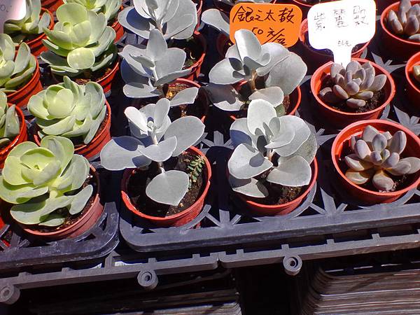 IMG_20160916_102649.jpg IMG_20160916_102649.jpg