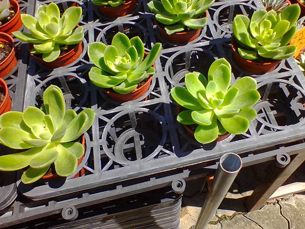 IMG_20160916_102654.jpg IMG_20160916_102654.jpg