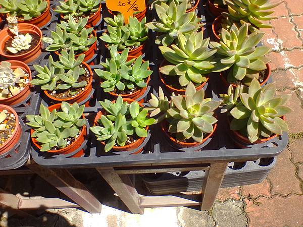 IMG_20160916_102658.jpg IMG_20160916_102658.jpg