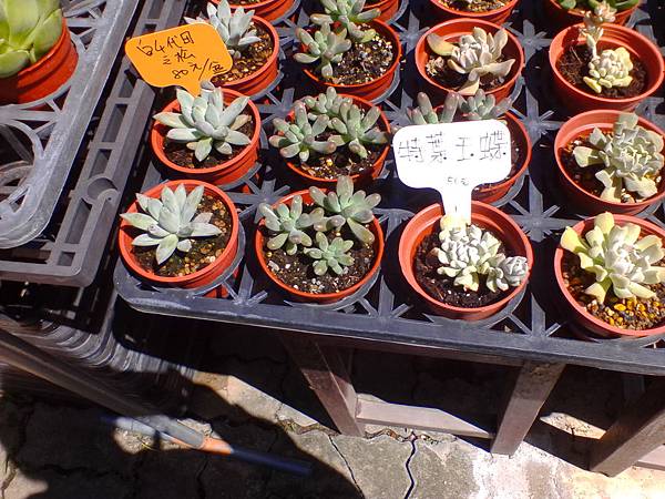 IMG_20160916_102702.jpg IMG_20160916_102702.jpg