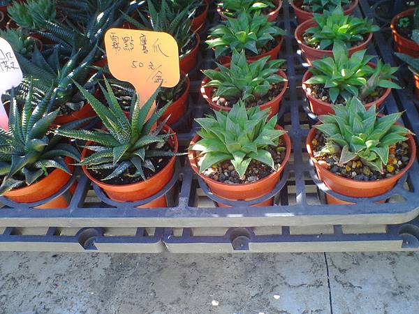 IMG_20160916_102810.jpg IMG_20160916_102810.jpg