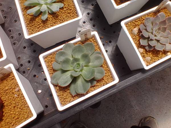 IMG_20160916_105724.jpg IMG_20160916_105724.jpg