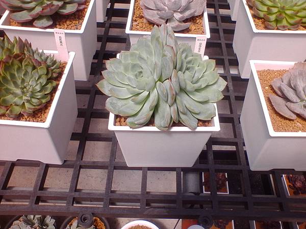 IMG_20160916_105809.jpg IMG_20160916_105809.jpg