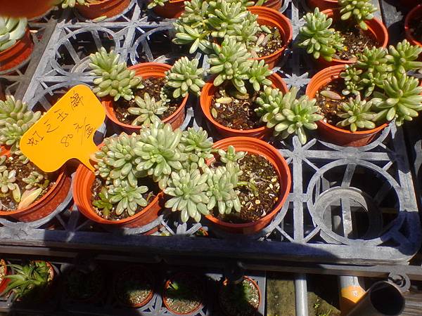 IMG_20160916_110013.jpg IMG_20160916_110013.jpg