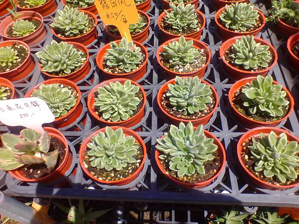 IMG_20160916_110022.jpg IMG_20160916_110022.jpg