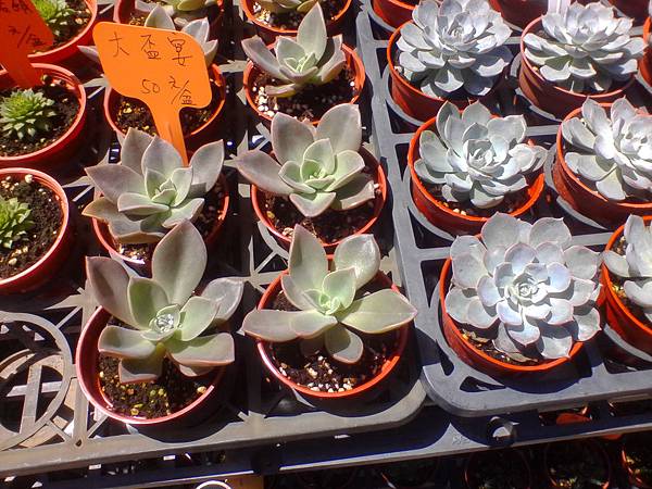 IMG_20160916_110031.jpg IMG_20160916_110031.jpg