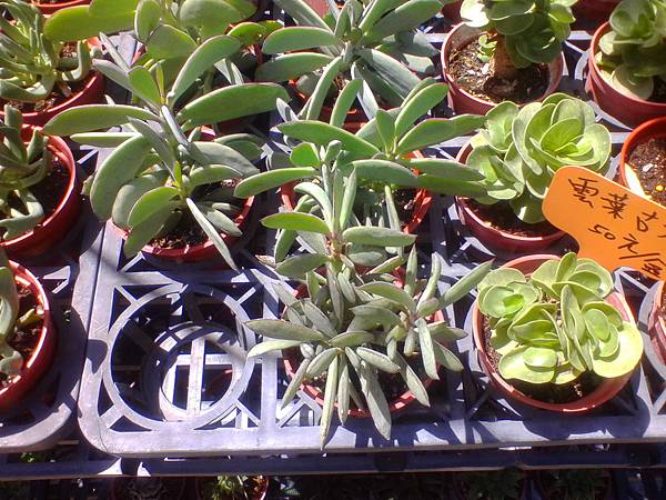 IMG_20160916_110042.jpg IMG_20160916_110042.jpg