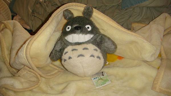 DSC09802.JPG DSC09802.JPG