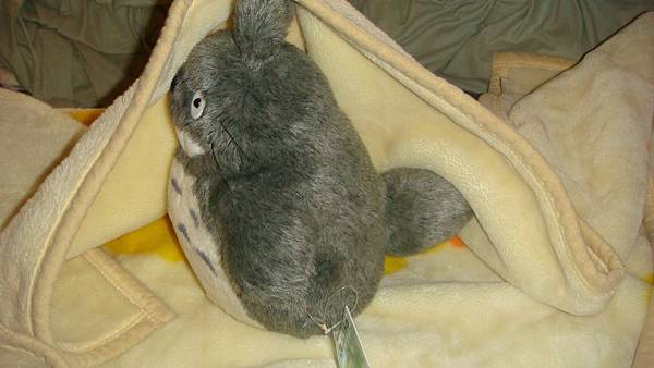 DSC09804.JPG DSC09804.JPG