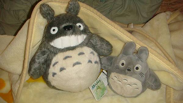 DSC09811.JPG DSC09811.JPG