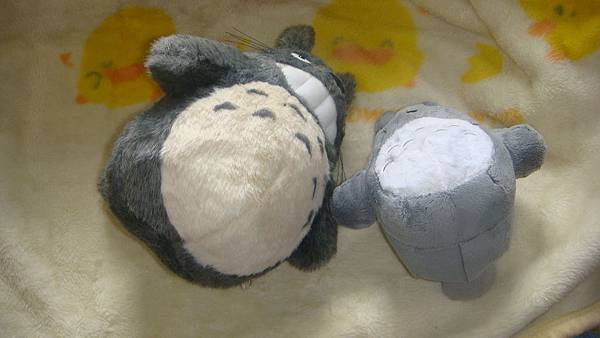 DSC00017.JPG DSC00017.JPG