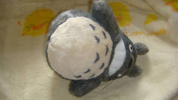 DSC00019.JPG DSC00019.JPG