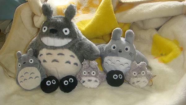 DSC09955.JPG DSC09955.JPG