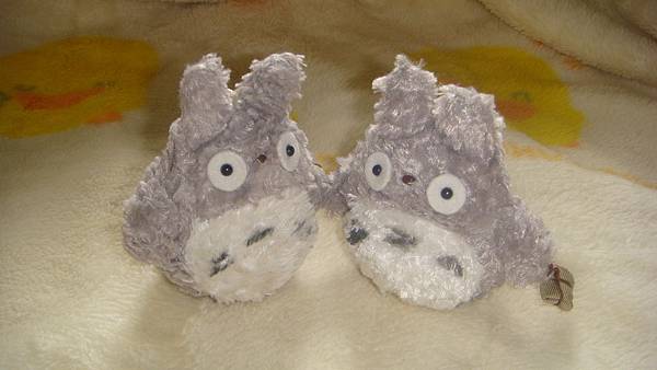 DSC09969.JPG DSC09969.JPG