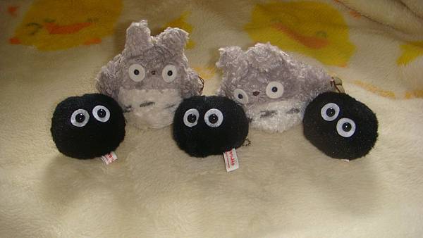 DSC09971.JPG DSC09971.JPG