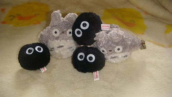 DSC09972.JPG DSC09972.JPG