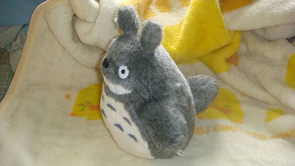 DSC09981.JPG DSC09981.JPG