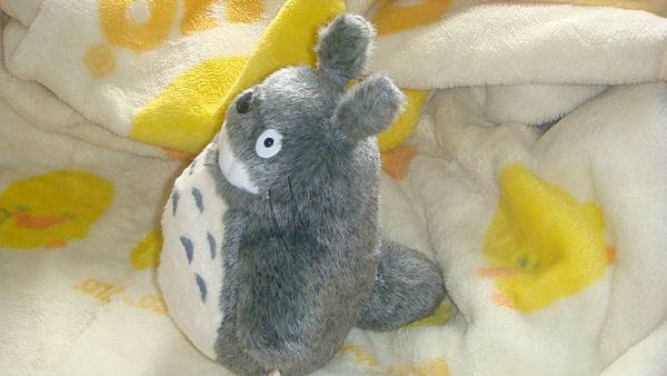 DSC09982.JPG DSC09982.JPG