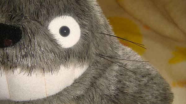 DSC09984.JPG DSC09984.JPG