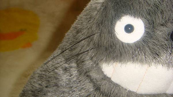 DSC09985.JPG DSC09985.JPG